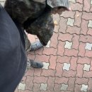 감천1동 행정복지센터 이미지