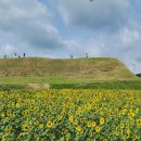 연천 호로고루 이미지