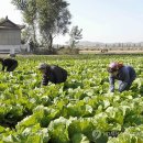 용성농장 이미지