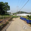 농로 연합뉴스