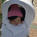 [생후22개월/D+679~685] 생후97주 성장기록 / 핑쿠핑쿠하게 키카접수 / 히히호호수업 / 3월에 눈 / 놀러...