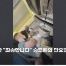 외국 네티즌들 사이에서 의견이 갈리고 있다는 마스크 쓰기 싫어 우는 2살... 가족 전원 비행기에서 하차 이미지
