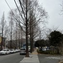 동읍122 | 창원 등산하기 좋은 곳 추천 <정병산 창원국제사격장 출발코스> 등산후기