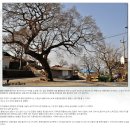 슬로시티 담양 창평 용운마을 & 월봉산 산행 [담양여행,남도여행] 이미지