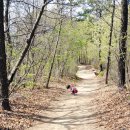 초록산등산로 이미지