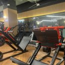 카우짐 | 1년동안 다닌 백운역 카우짐 내돈내산 후기, 헬스장 추천!