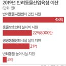 냥이댕이 이미지
