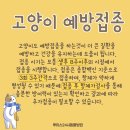 모래내동물병원 이미지