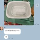 서울 살다 시골 내려왔더니 생긴 변화