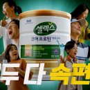 매일 이미지