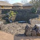 성읍1리 이미지