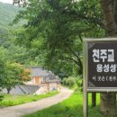 자연생활의집청도
