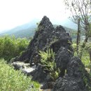 산수이용 Daum카페