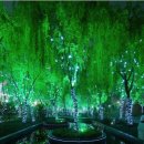 매직포레스트 티스토리