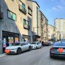 제주거멍돗 이미지