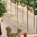 준용농장 이미지