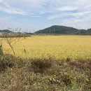 장항1리마을회관 이미지