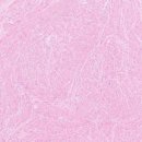 로얄동물외과수술센터 이미지