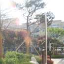 대명세라뷰 Daum카페