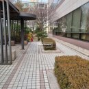 방배빌딩 이미지