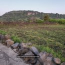 시흥리-8 이미지