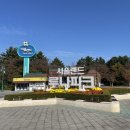 과천 서울랜드 6세 아이랑 가을 나들이