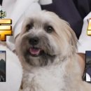 기운