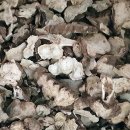 초월약초 이미지