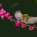 강인한 - 리아스식 해안의 검은 겨울 / 감상, 자작시 해설 - 최형심, 강인한 이미지