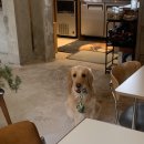 영인한의원 | 25년 상반기 결산