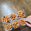 세이유치원 이미지