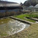 꽃초롱자연학습장 이미지