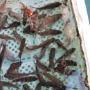 여수가족생활낚시터 이미지