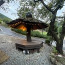 동강할미꽃펜션 이미지