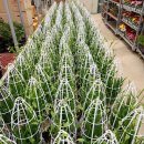 원복농장 이미지