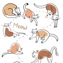 냥쌤뷰티 | 고양이 모래, 진짜로 좋은 건 뭘까? 인기 제품부터 고르기 팁까지 총정리