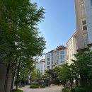 수원 빈센트 약국 이미지