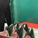 부천수산 | 올 겨울 나의 3번째 방어 사냥터 부천 '수산시장' 후기