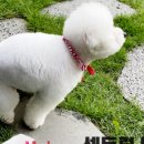 휴베이스센트럴약국 이미지