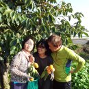 수아농장 이미지