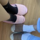 [내돈내산]제주도 애월 신스버거 후기