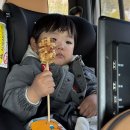 청도천6 | 청도 레일바이크 아기들과 다녀온 후기