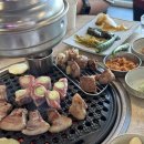 돼지나무 사랑걸렸네 이미지