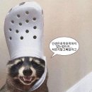 이난이 Daum카페