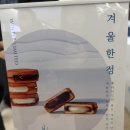 도산카월드 이미지