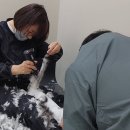 무릎 위의 고양이 무냥 이미지