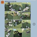 에뚜왈 이미지