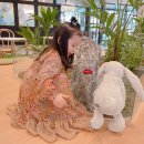 판교파미어스약국 이미지