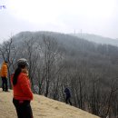 고은과수원