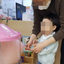 장안현대어린이집 네이버블로그